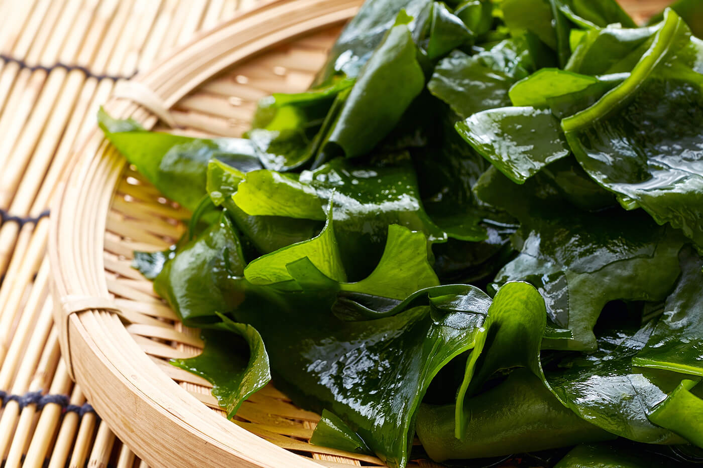 Ламинария